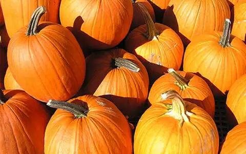 Cordell Pumpkin Festival
