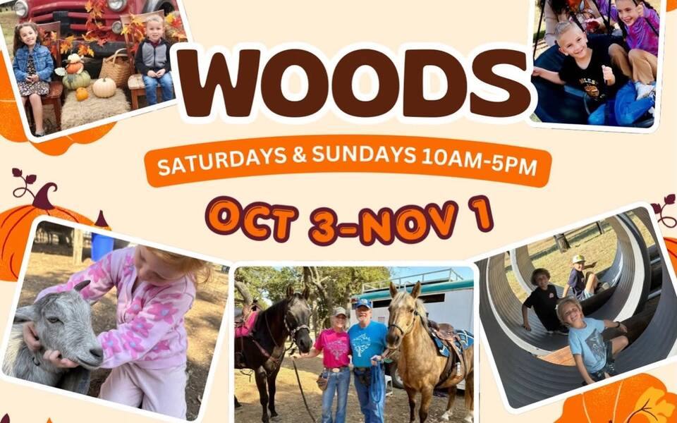 Fall Fun at Walnut Woods