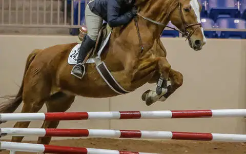 Hunter Jumper Exhibitors of Oklahoma Fall Finale