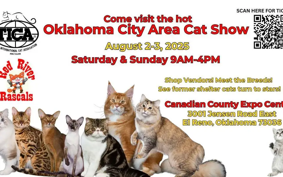 TICA Cat Show