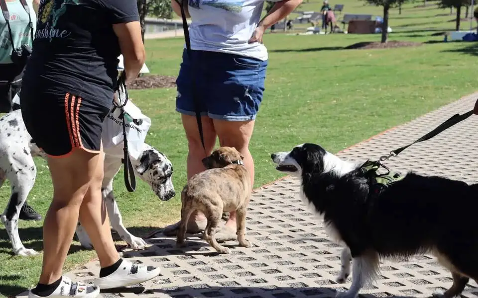 Bark Walk