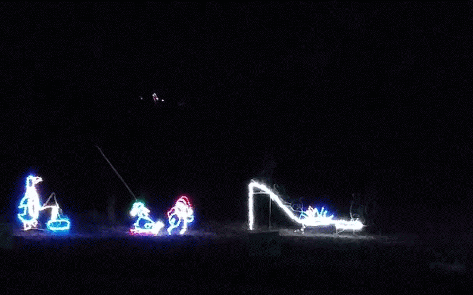 Wister Lake Lights on the Island