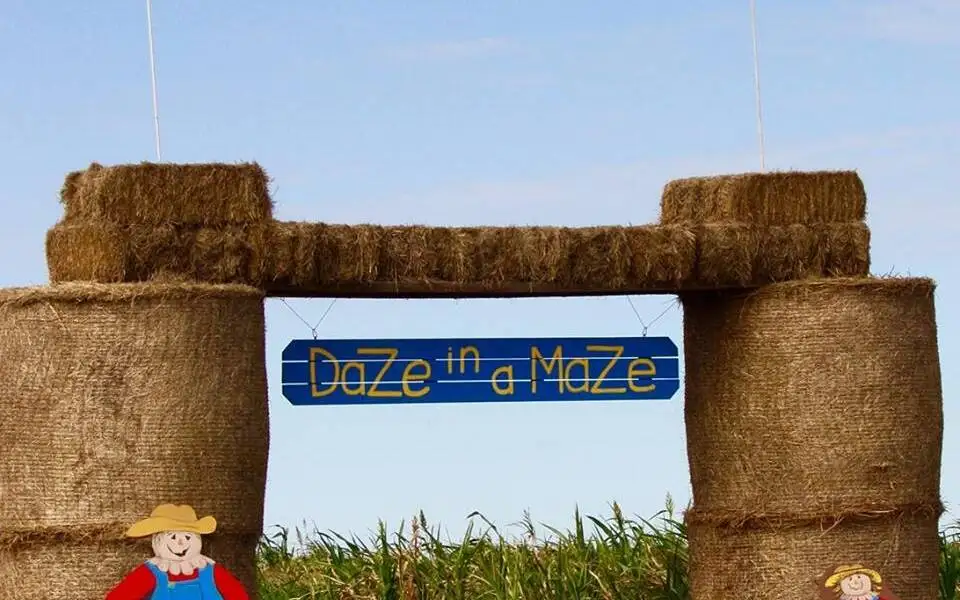 Daze in a Maze