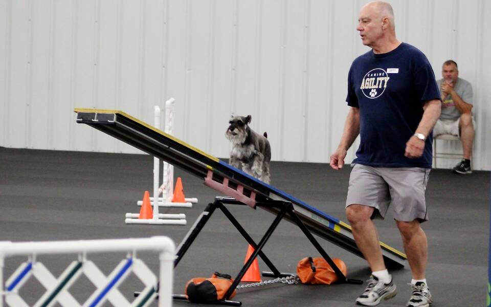 Tulsa Dog Training Club Agility Trial