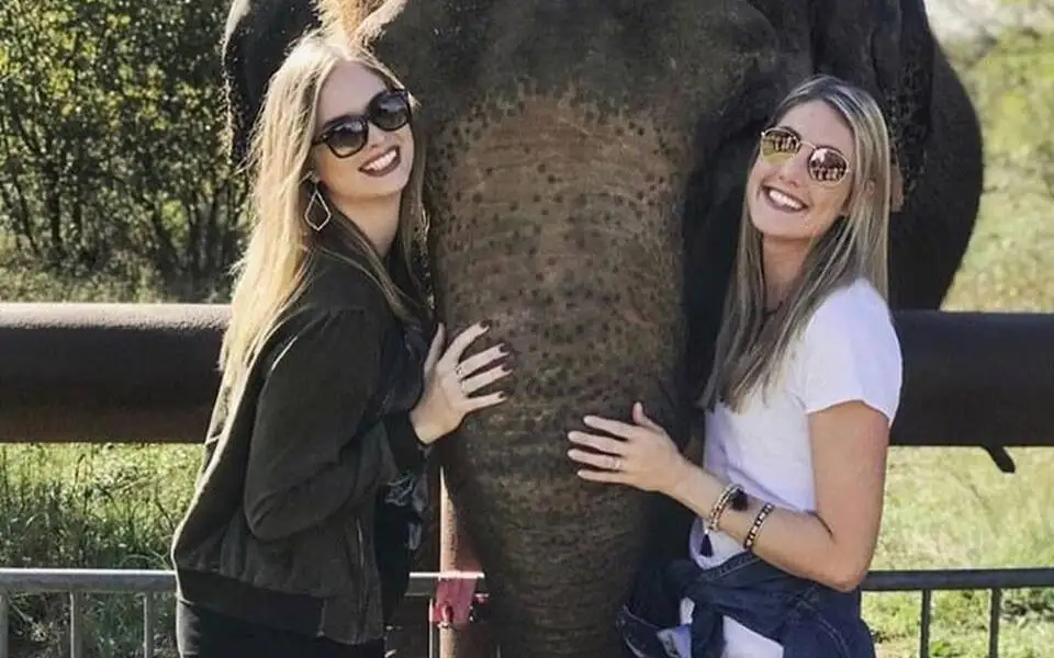 Adult Elephant Expedition