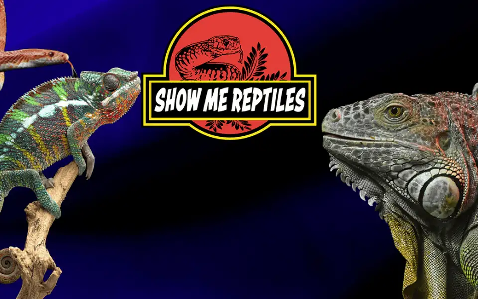 Show Me Reptiles & Exotics Expo
