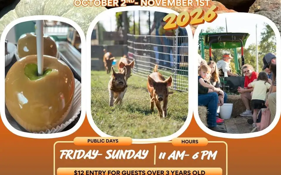 Pumpkin Patch at Pear Grove Farm Store