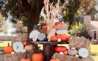 The Barn at Country Club Pumpkin Patch