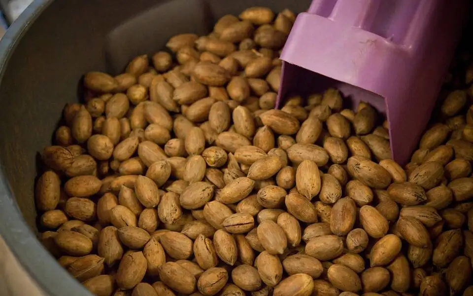 Oklahoma Pecan Festival