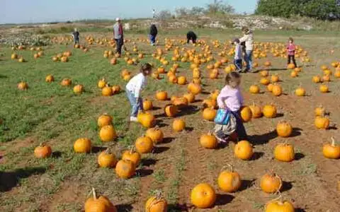 Jahn's Pumpkin Hill