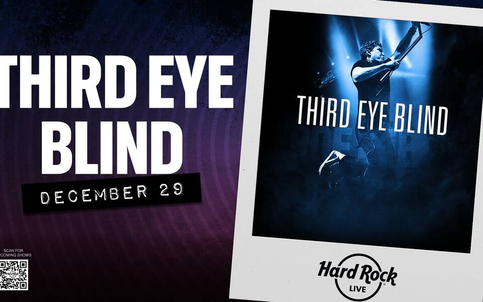 Third Eye Blind in Concert