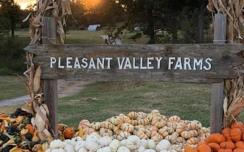 Pleasant Valley Farms Pumpkin Patch