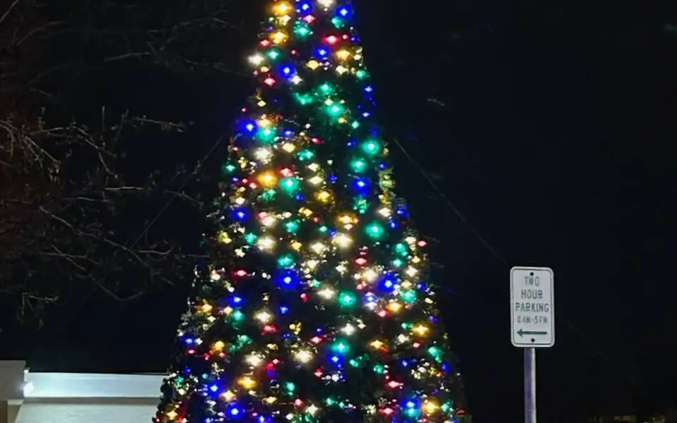 Chandler Christmas Parade & Tree Lighting Festival