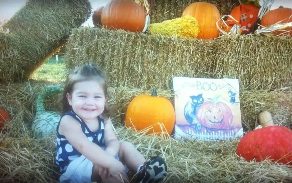 Sunshine Shelly's Pumpkin Patch
