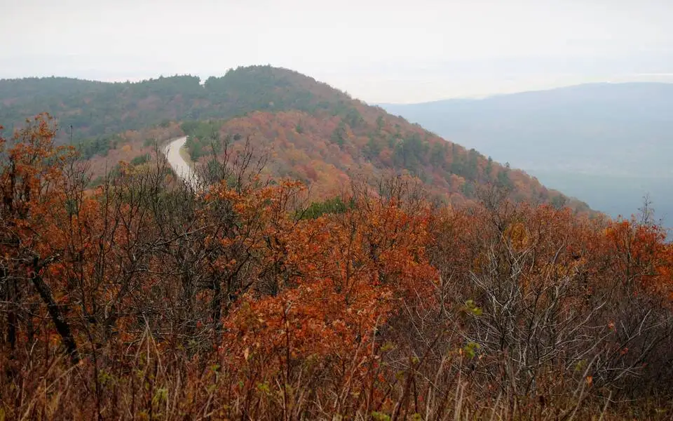 Talihina Fall Foliage Festival