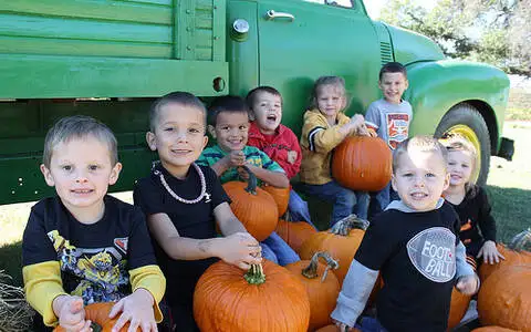 Happy Day Farms Pumpkin Patch