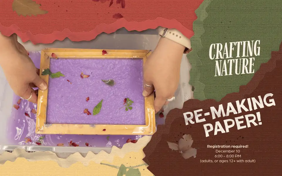 Crafting Nature: Re-Making Paper