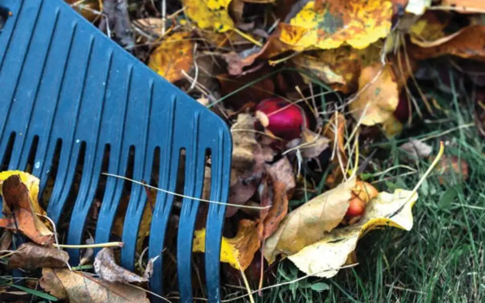 Workshop: Putting Your Garden to Bed