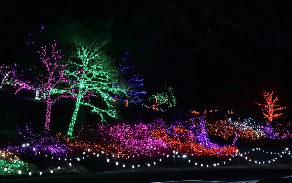 Garden of Lights