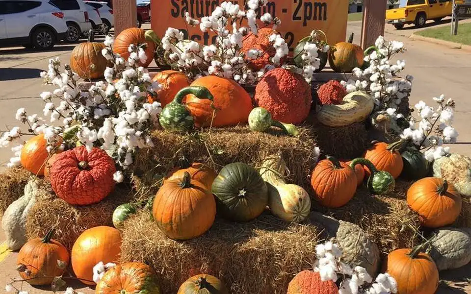 Hydro Harvest Festival