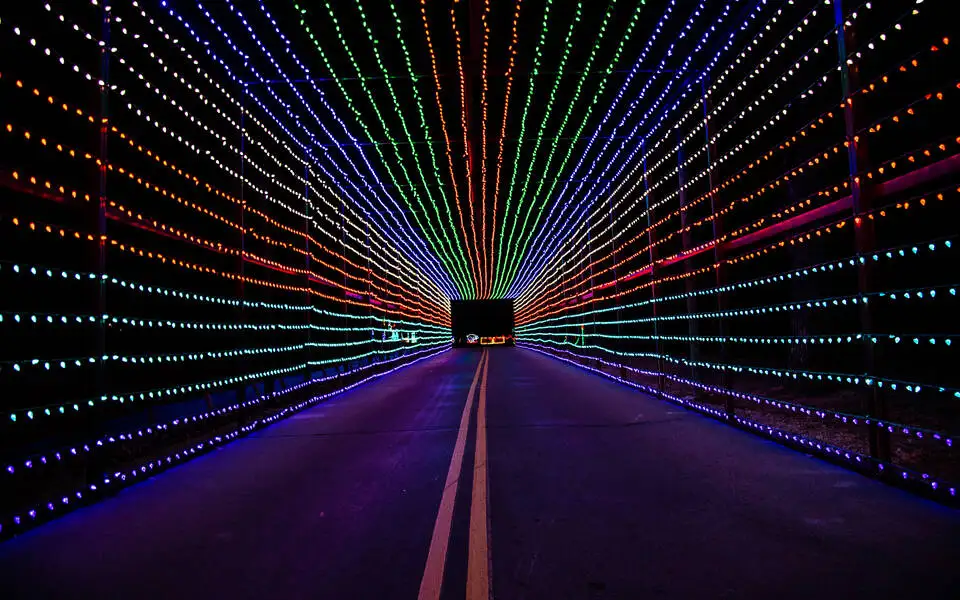 Lights From the Heart