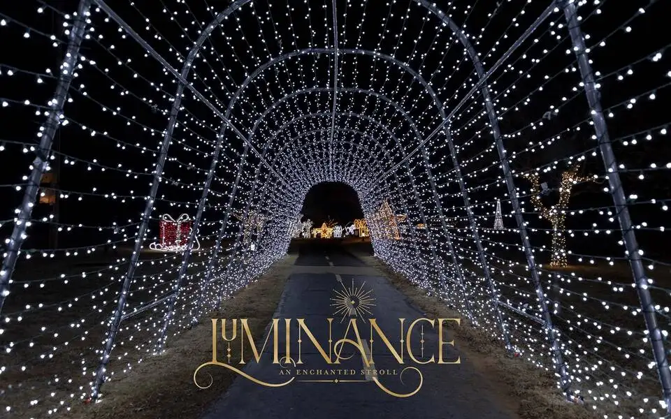 Edmond Electric's Luminance - An Enchanted Stroll