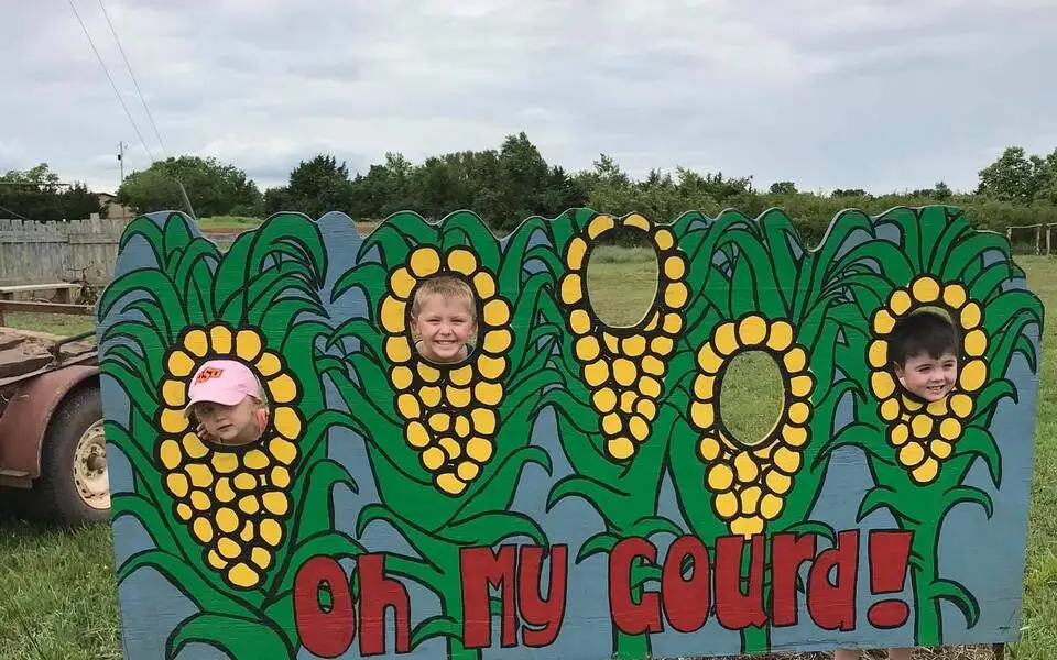 Oh My Gourd Pumpkin Patch
