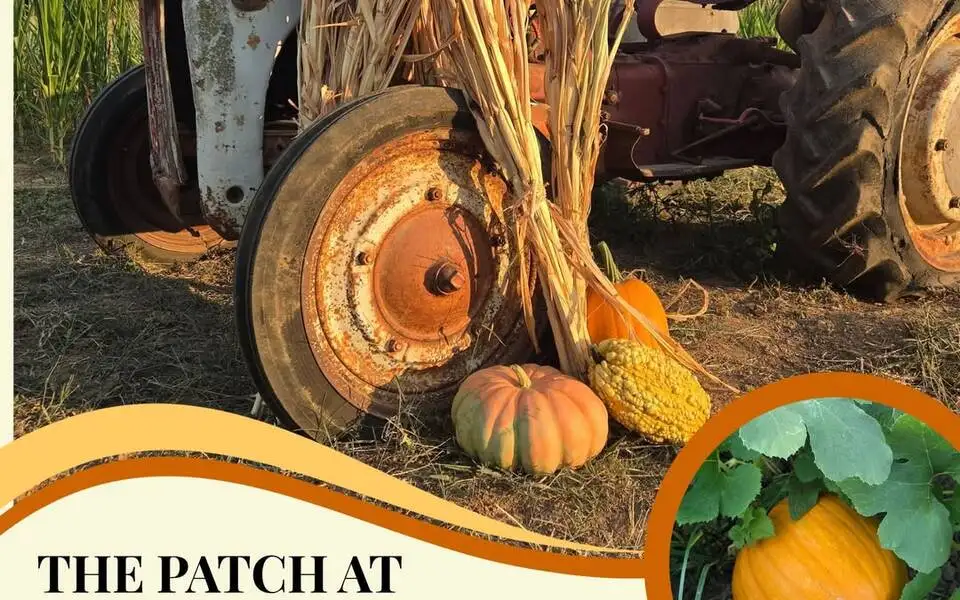 The Patch at Lost Hwy Farms