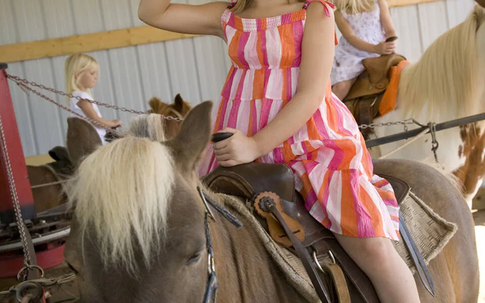 Fall Festival at the Orr Family Farm