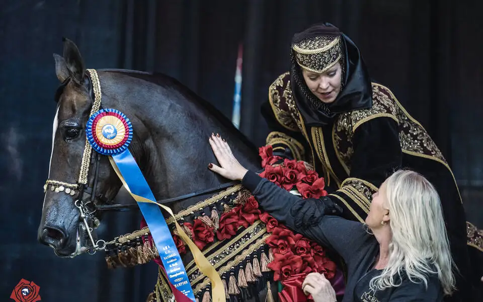 U.S. National Arabian & Half-Arabian Championship Horse Show