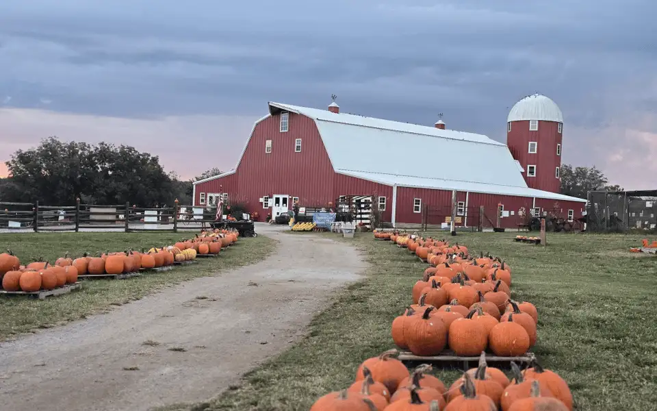 Pumpkin Festival at Shepherd's Cross