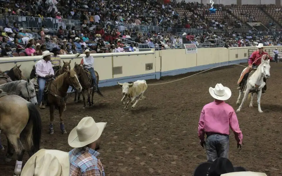 Red Dirt Rodeo