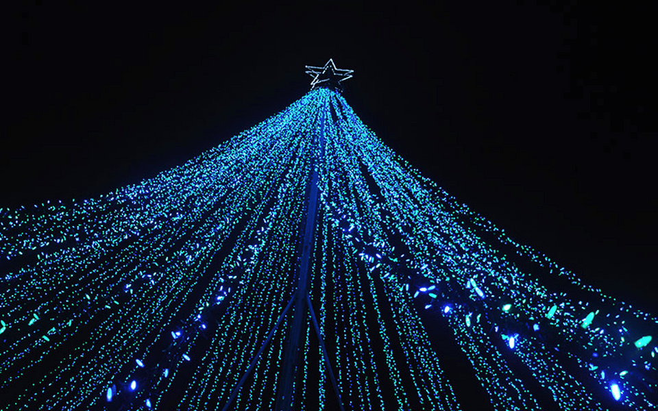 Christmas in the Park