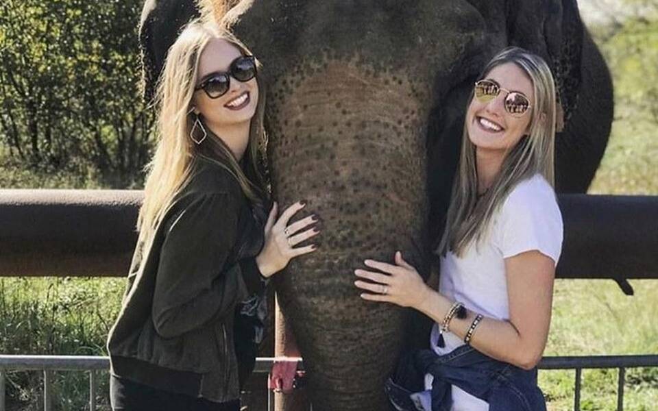 Adult Elephant Expedition
