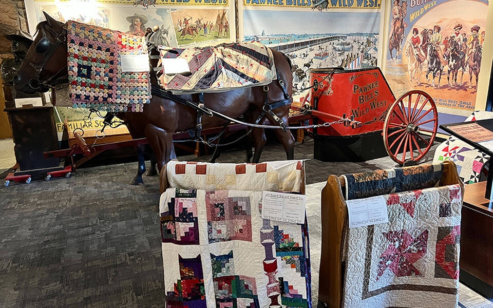 Annual Quilt Show