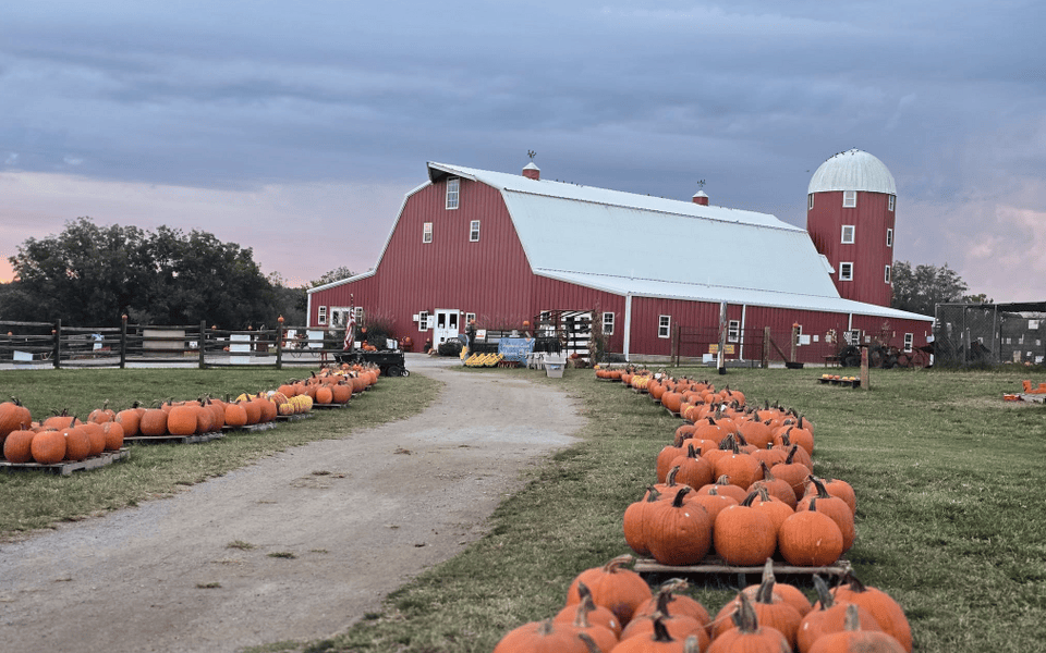Pumpkin Festival at Shepherd's Cross