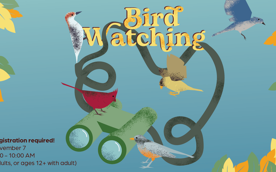 Adult Workshop: Bird Watching