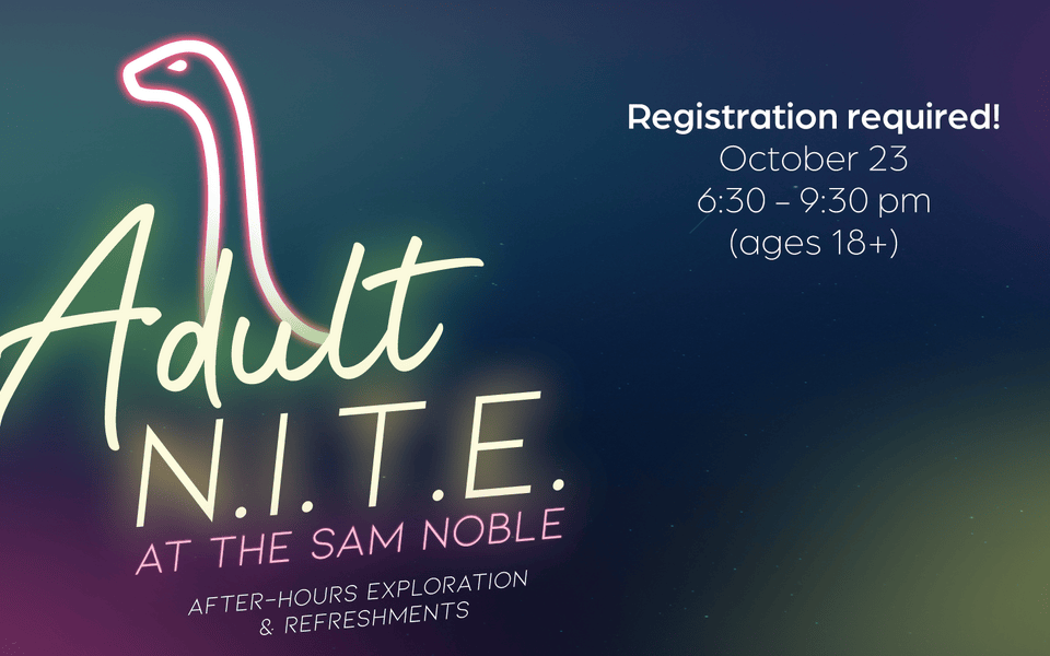 Adult N.I.T.E.