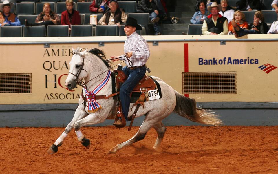 American Quarter Horse Association World Championship Show