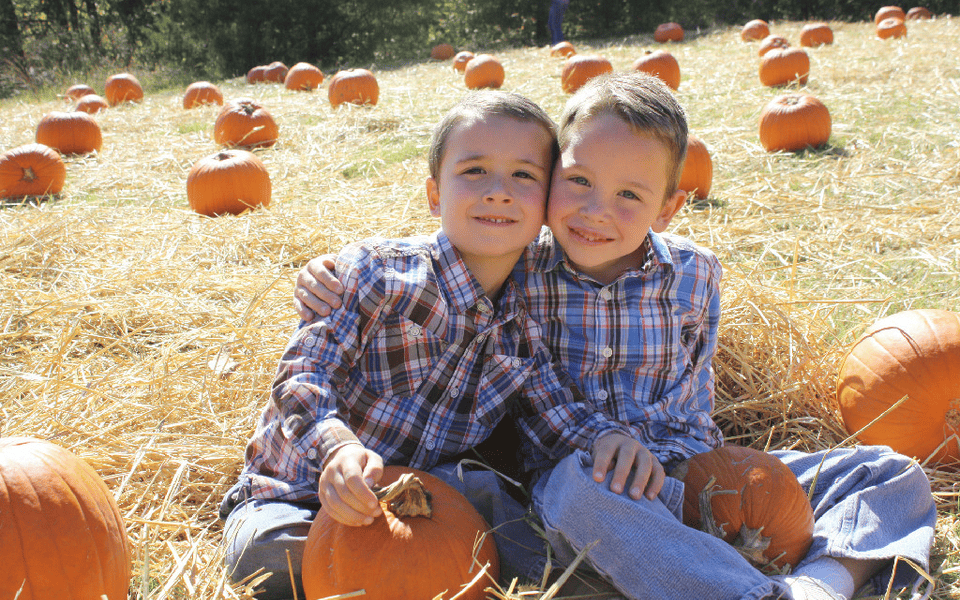 Cornerstone Kids' Ranch Pumpkin Patch