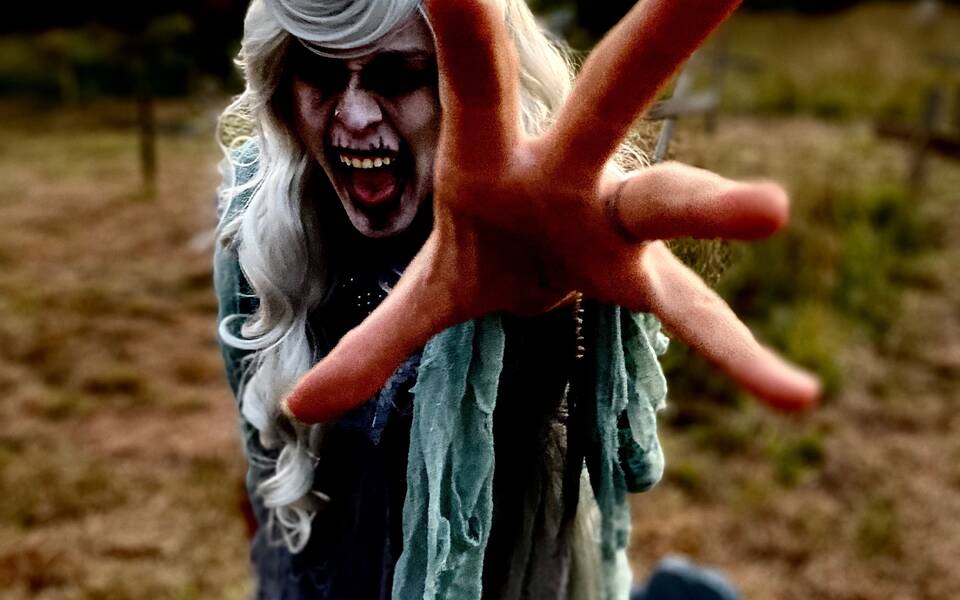 DCP Haunted Trail