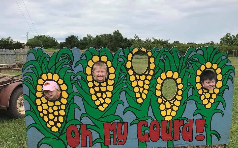 Oh My Gourd Pumpkin Patch
