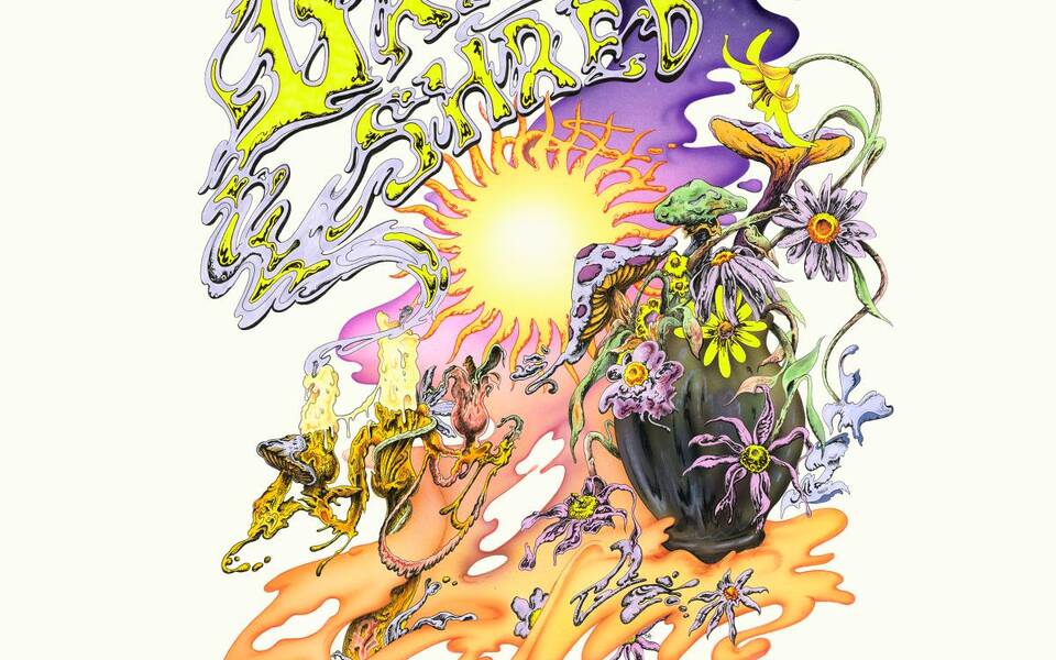 Grateful Shred in Concert