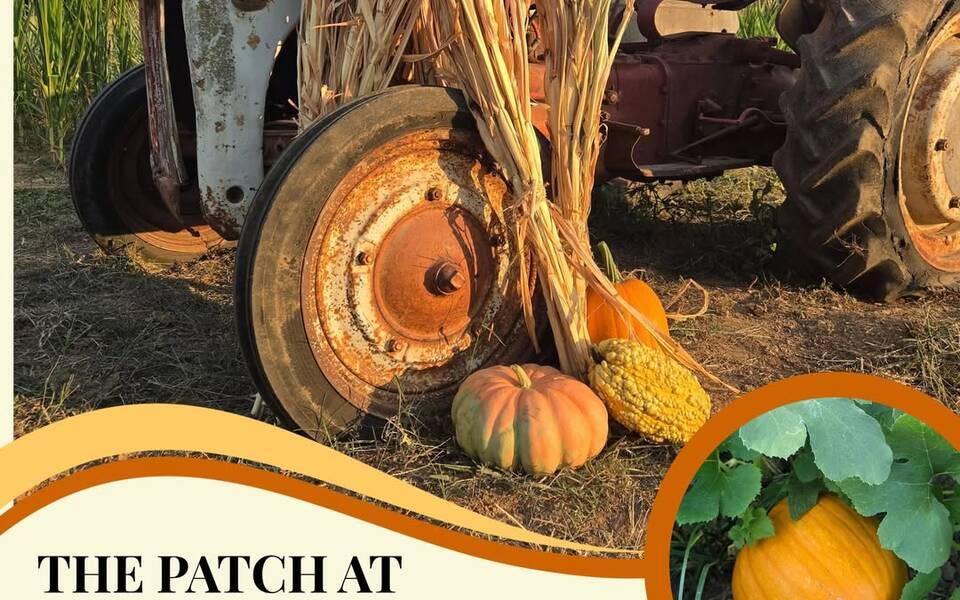 The Patch at Lost Hwy Farms